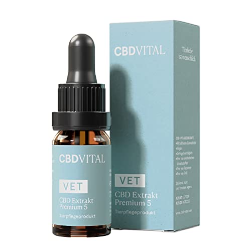 CBD Öl für Katzen