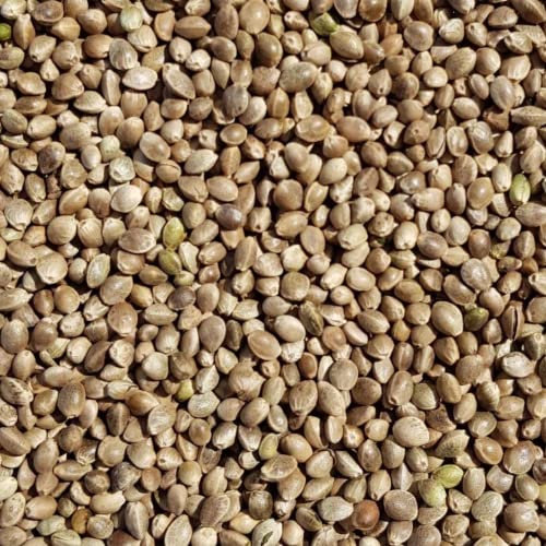 SUPRAVIT Hanf 5kg - Hanfsamen Vogelfutter