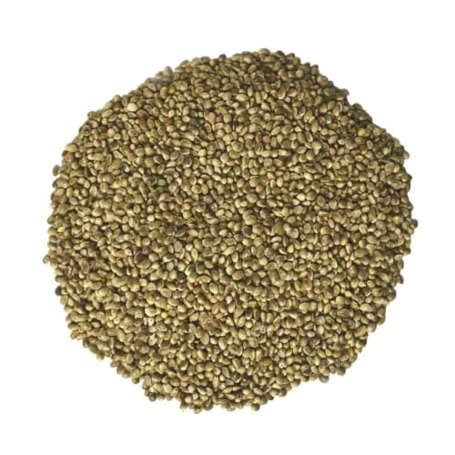 Hanfsaat 10kg für Vögel