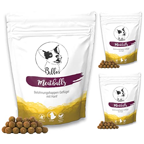 Meatballs Geflügel Hanf Hundeleckerli