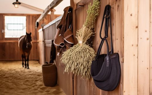 Hanf & CBD für Pferde