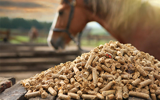 Hanfpellets
