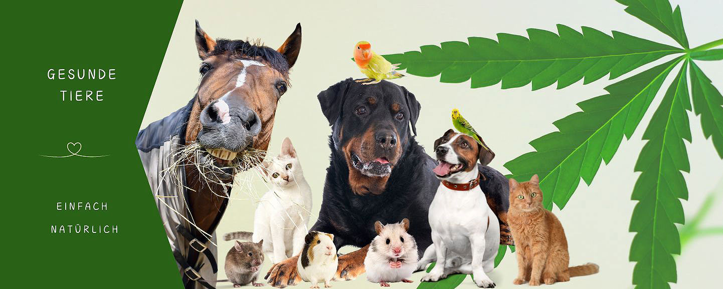 Informationen, Tipps, Artikel und News für Tierliebhaber. 